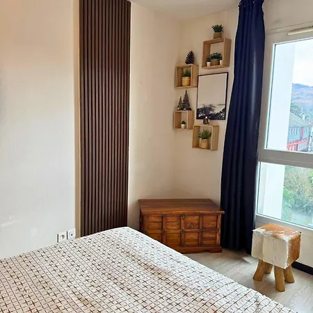 Apartment Le Montagnard - Wifi - Clim - Chaleureux Lourdes