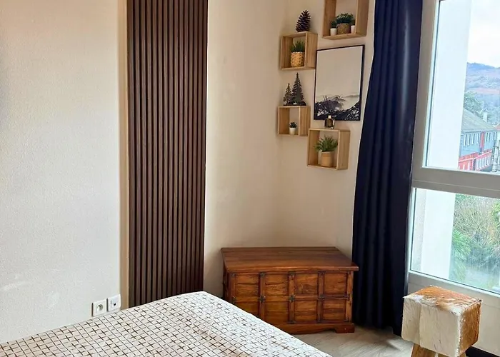 Apartment Le Montagnard - Wifi - Clim - Chaleureux Lourdes